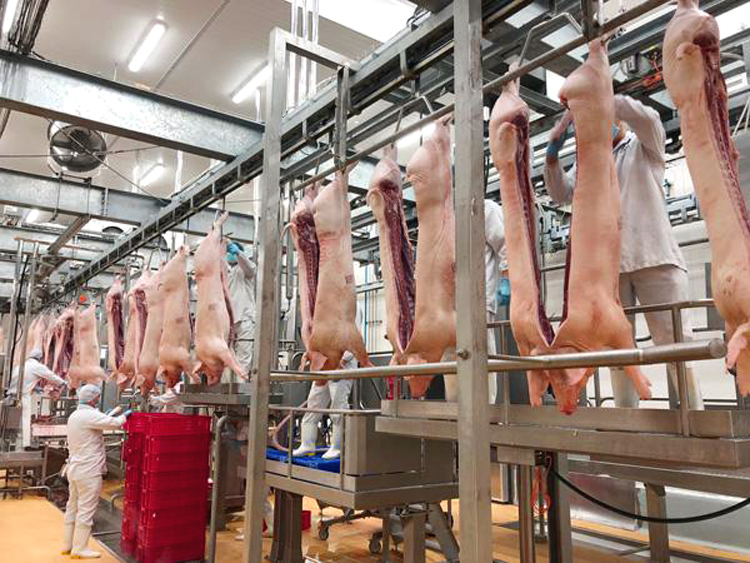 Bộ Công Thương có phương án hỗ trợ và tạo điều kiện cho các doanh nghiệp nhập khẩu thịt lợn khi có có nhu cầu (ảnh: KT).