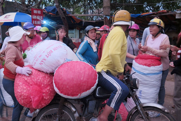 Chợ tỏi ở Lý Sơn nhộn nhịp từ sáng sớm.