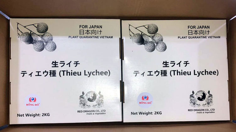 Bao bì vải thiều Việt Nam xuất khẩu vào Nhật Bản đã được cải tiến với nhiều thông tin bổ ích.