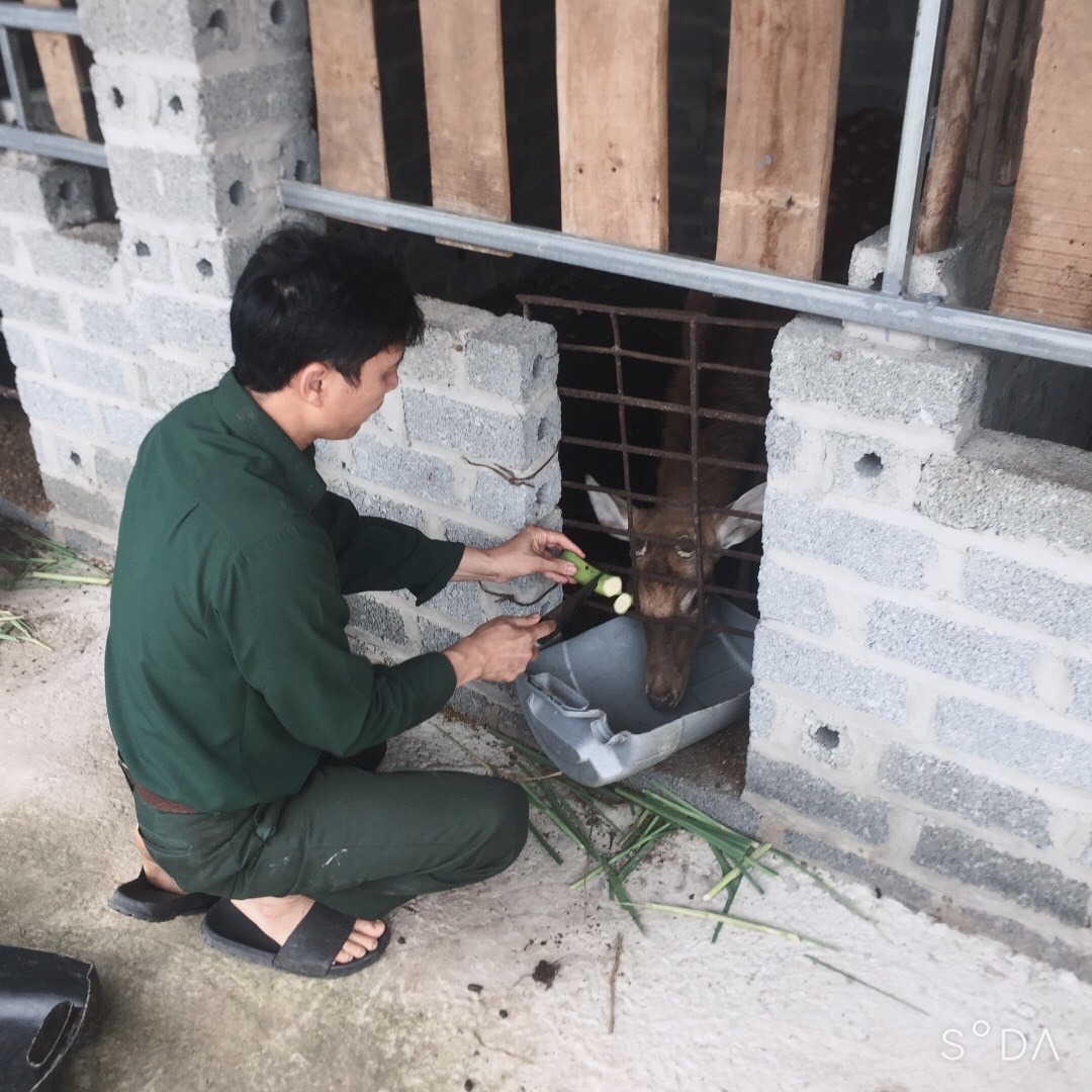 HTX nuôi hươu Trọng Hùng tại xóm Tè, xã Tân Hòa, Thái Nguyên