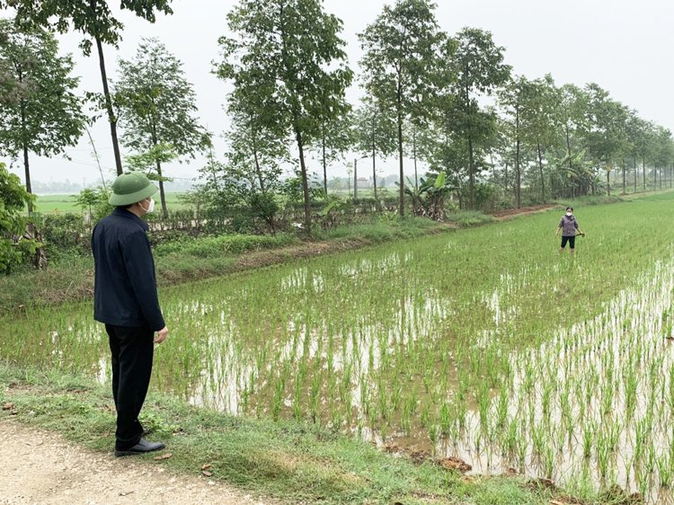 UBND xã Phú Kim chú trọng đến công tác phát triển và chuyển đổi cơ cấu nông nghiệp.