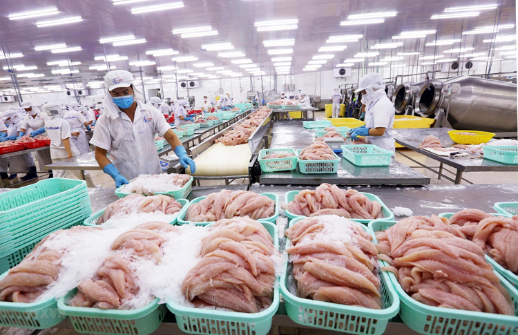 Giá trị sản xuất thủy sản của Việt Nam 2 tháng đầu năm 2021 tăng 0,7%.