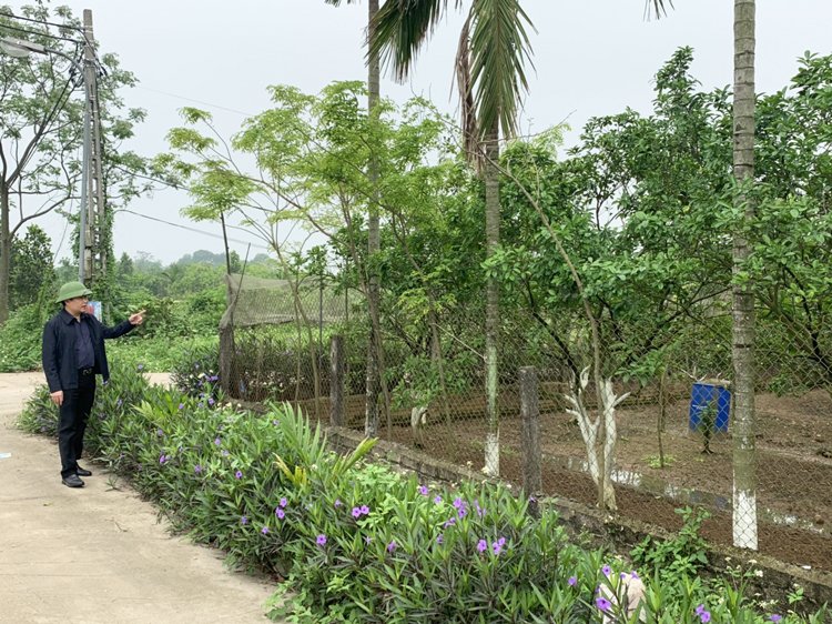 UBND xã Phú Kim đồng hành xây dựng thương hiệu OCOP truy xuất nguồn gốc cho quả bưởi Diễn ở thôn Thuý Lai.