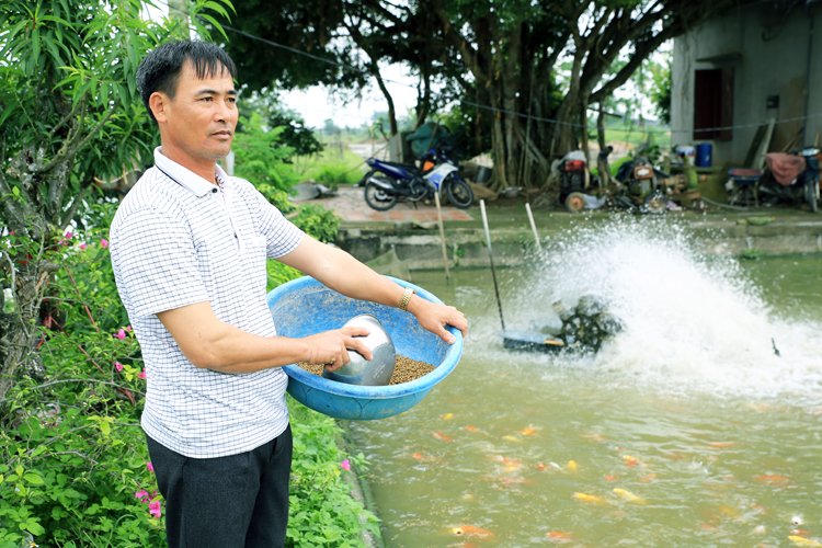 CT1: Mô hình trang trại nuôi cá của đảng viên Đặng Văn Ba, thôn 2 xã Mỹ Hưng (Mỹ Lộc) cho hiệu quả kinh tế cao. 	Ảnh: Viết Dư