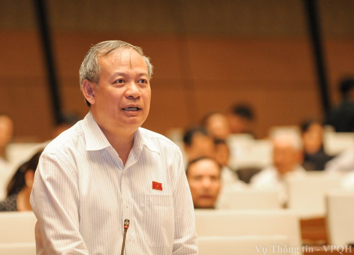 Tiến sĩ Đinh Xuân Thảo bày tỏ quan điểm trên nghị trường kỳ họp thứ 8 Quốc hội khóa XIII.