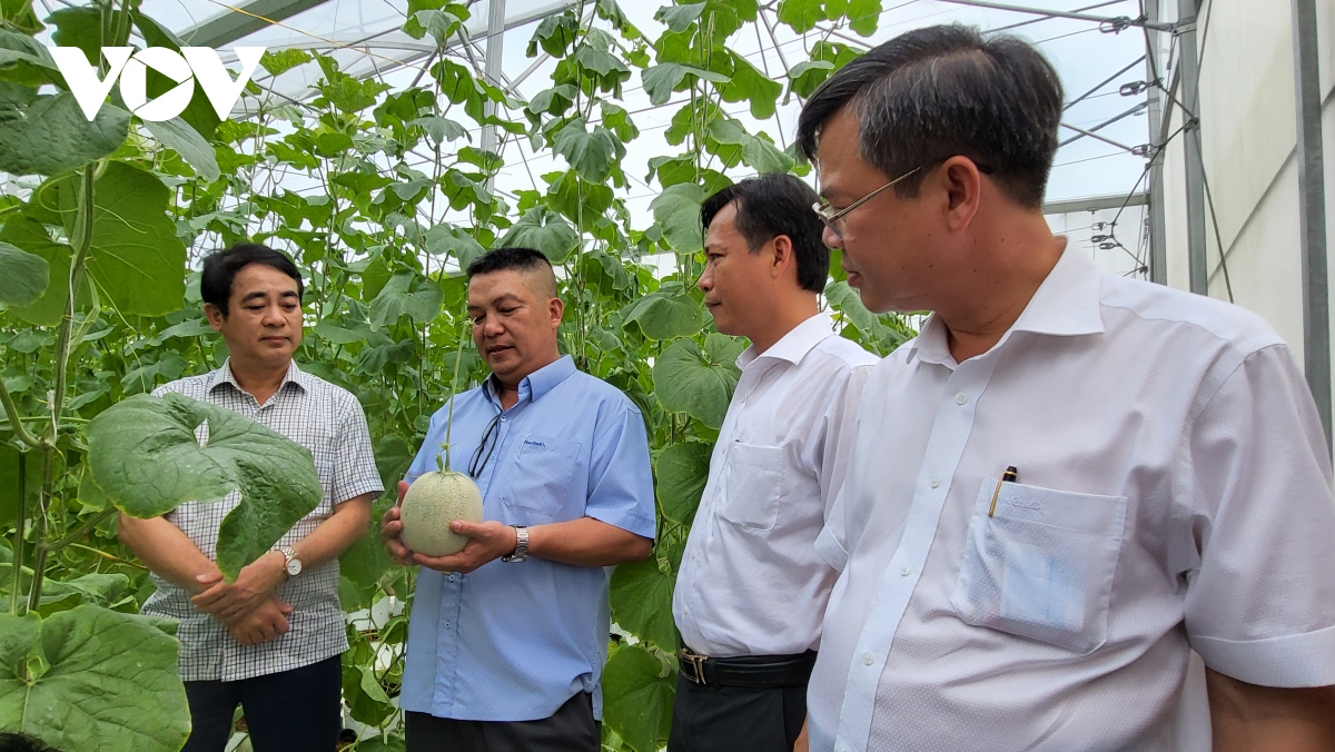 Lãnh đạo tỉnh Hậu Giang khảo sát mô hình sản xuất nông nghiệp hiệu quả tại huyện Châu Thành. (Ảnh Tấn Phong) 