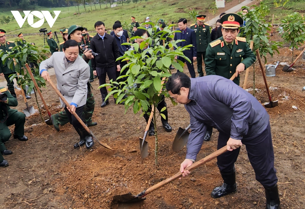 Thủ tướng phát động trồng cây Đời đời nhớ ơn Bác Hồ.