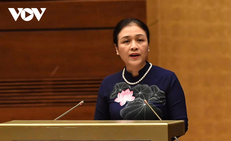 Bà Nguyễn Phương Nga- Chủ tịch Liên hiệp các tổ chức hữu nghị Việt Nam phát biểu tại Hội nghị.