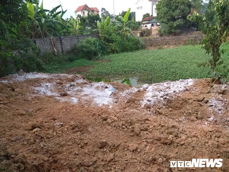 Bãi tiêu hủy lợn chết nhà bà Oanh được đổ thêm đất và rắc vôi bột.