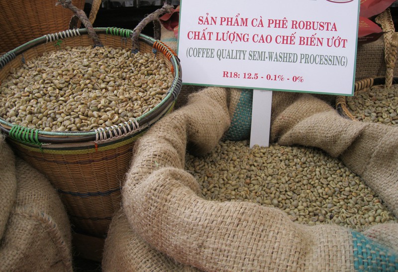 Hơn 90% sản lượng xuất khẩu cà phê của Việt Nam hiện nay là sản phẩm thô. Trong khi giá cà phê nhân xô phụ thuộc hoàn toàn vào sàn cà phê kỳ hạn London và New York.