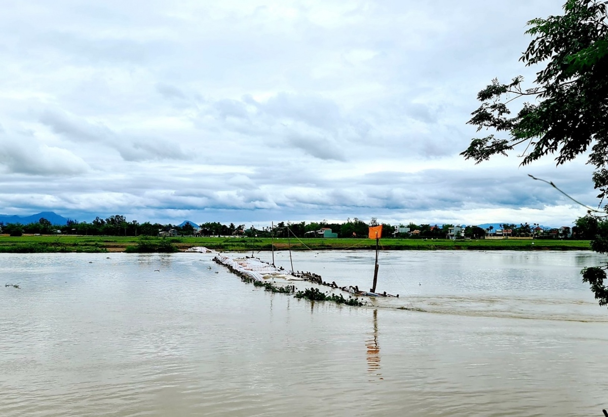 Đập ngăn mặn trên sông Vĩnh Điện bị sạt lở nghiêm trọng trong đợt mưa lũ bất thường cuối tháng 3 năm ngoái.
