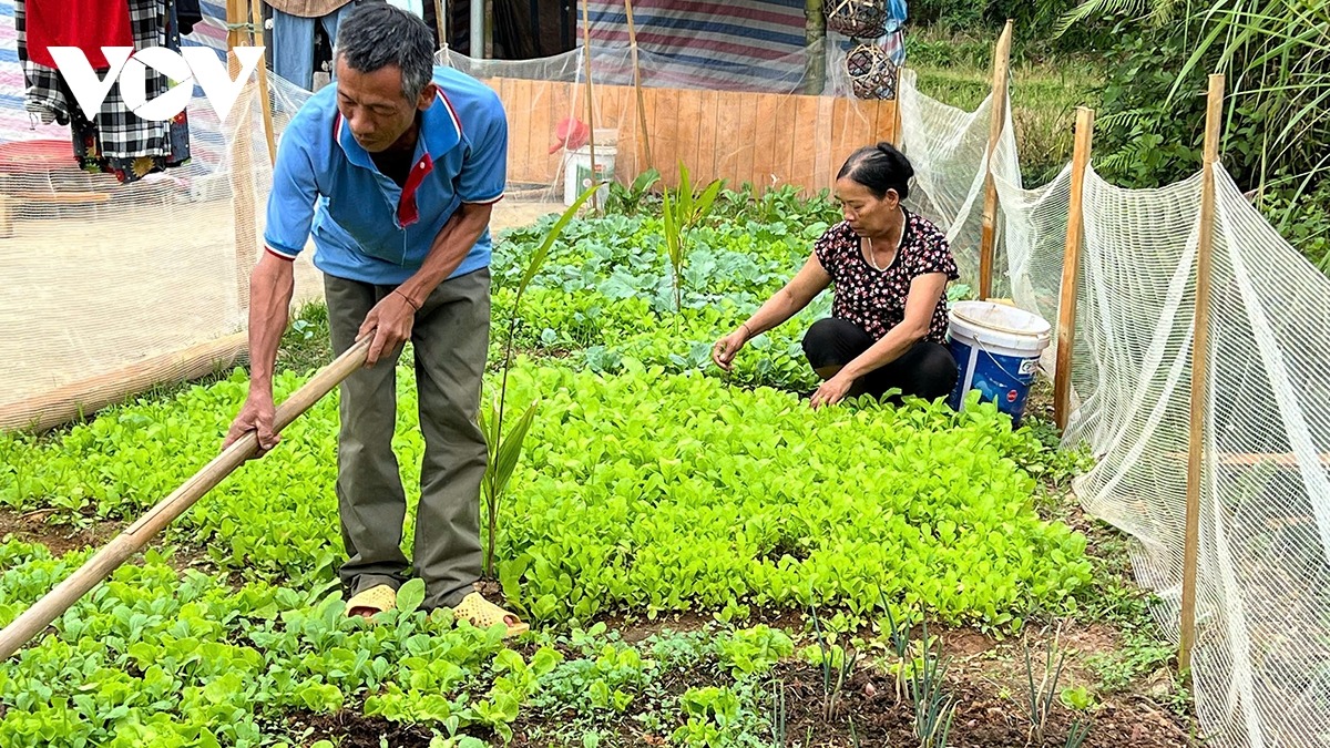 Người dân thôn Át Thượng, huyện Lục Yên đang gây dựng lại cuộc sống sau vụ sạt lở đất kinh hoàng hồi đầu tháng 9 năm nay.