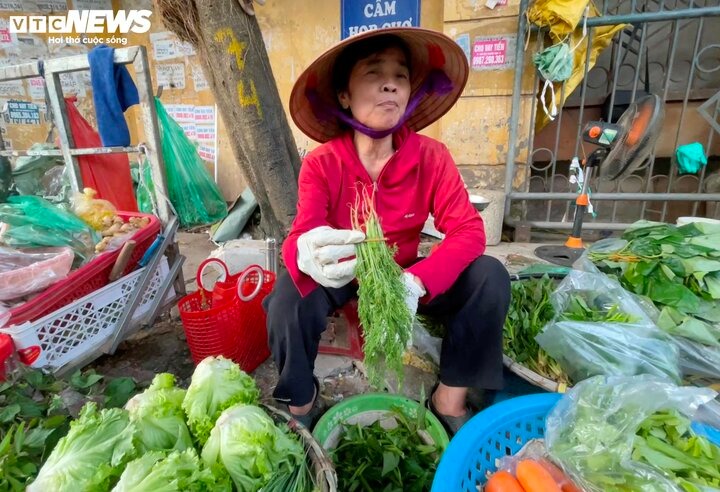 Giá các loại rau xanh, củ quả ở hầu hết các chợ Hà Nội đều tăng giá. 