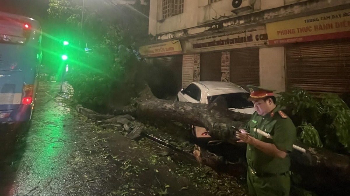 Hàng loạt cây xanh bị gãy đổ trong cơn dông tối 20/4 vừa qua tại Hà Nội.