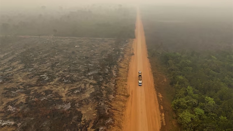 Khói bao phủ một khu vực sau trận cháy rừng ở Amazon, Labrea, Brazil, ngày 6/9/2024. Ảnh: Reuters