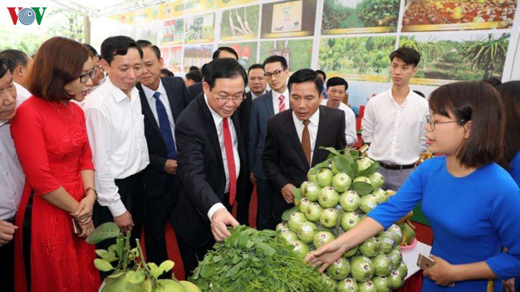 Phó Thủ tướng Vương Đình Huệ yêu cầu Thái Nguyên nhanh chóng phát triển các sản phẩm đặc sản, truyền thống, thế mạnh của địa phương.