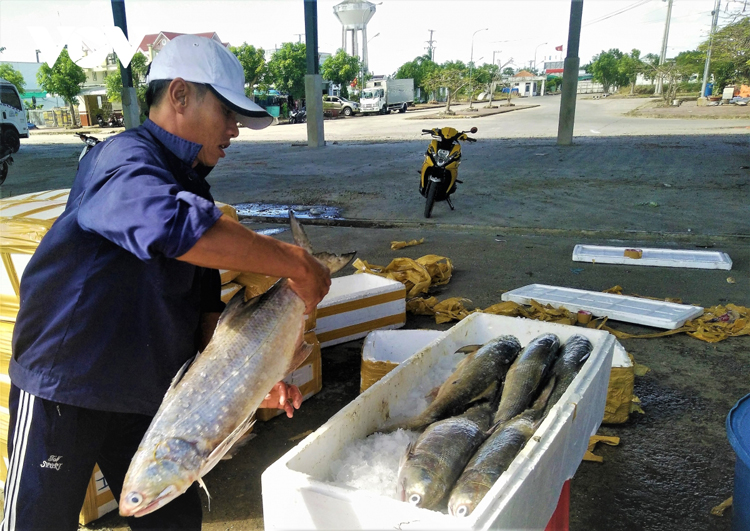 Ý thức của người dân trong đánh bắt hải sản đã dần thay đổi.