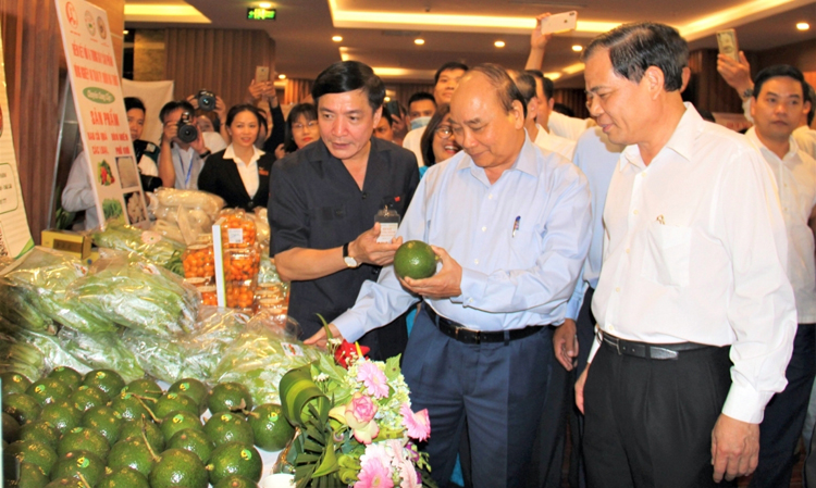 Tự hào về nông nghiệp, nông dân, nông thôn Việt Nam, Thủ tướng cho biết, dù đại dịch Covid-19 nhưng năm nay nông nghiệp được mùa, được giá, xuất khẩu tăng trưởng tốt.
