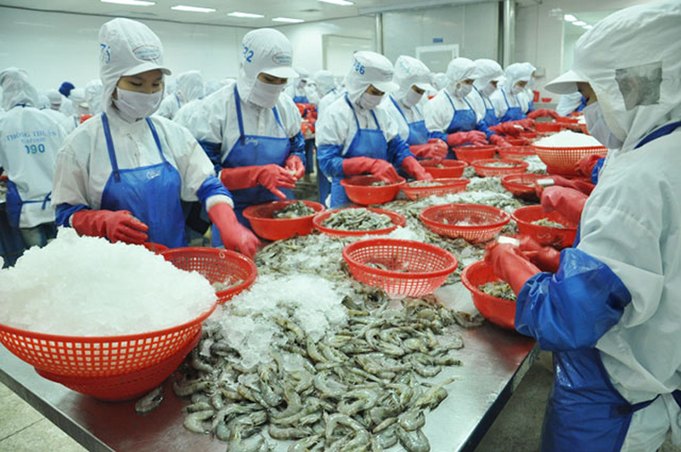 Sản phẩm thủy sản của Công ty Thông Thuận.