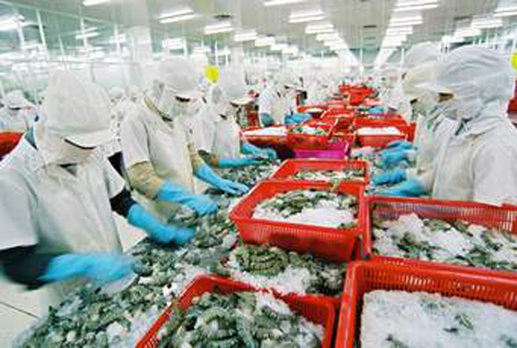 Thủy sản Việt Nam là một trong những mặt hàng được thị trường EU ưa chuộng. 