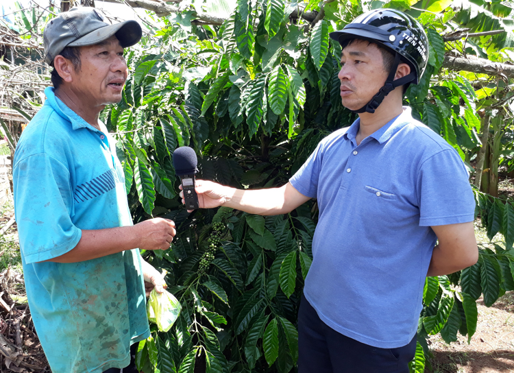 Nhà báo Dương Đình Tuấn có nhiều trăn trở với cà phê Tây Nguyên.