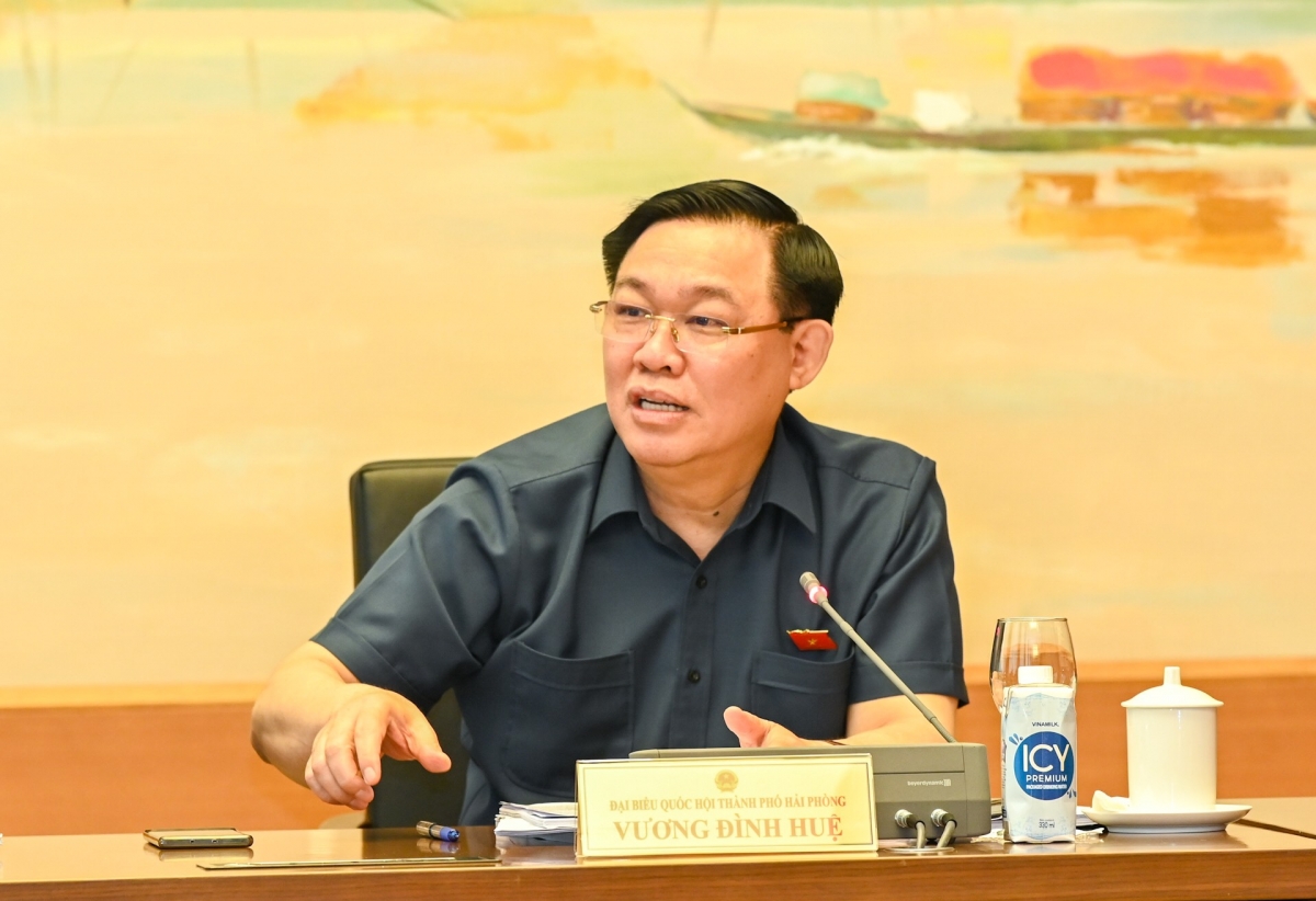 Chủ tịch Quốc hội Vương Đình Huệ phát biểu tại phiên thảo luận tổ.