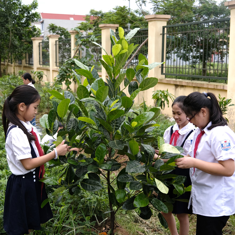  Các em học sinh chăm sóc vườn cây được “Quỹ 1 triệu cây xanh cho Việt Nam” trao tặng.