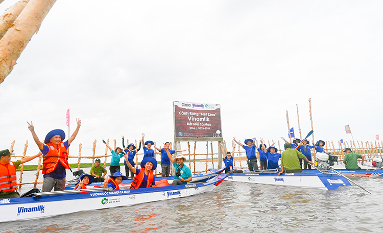 Khu vực khoanh nuôi tái sinh rừng ngập mặn có diện tích 25ha do Vinamilk, Gaia chung tay thực hiện tại vùng lõi Vườn Quốc gia Mũi Cà Mau