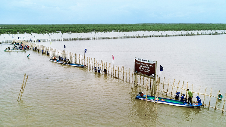 Tuy thời tiết mưa gió nhưng các nhân viên Vinamilk đã cùng Gaia và các cán bộ Vườn Quốc gia hoàn thành việc dựng hàng rào khoanh nuôi cho dự án 25ha tại vùng lõi Vườn Quốc gia ngày 18/8 vừa qua