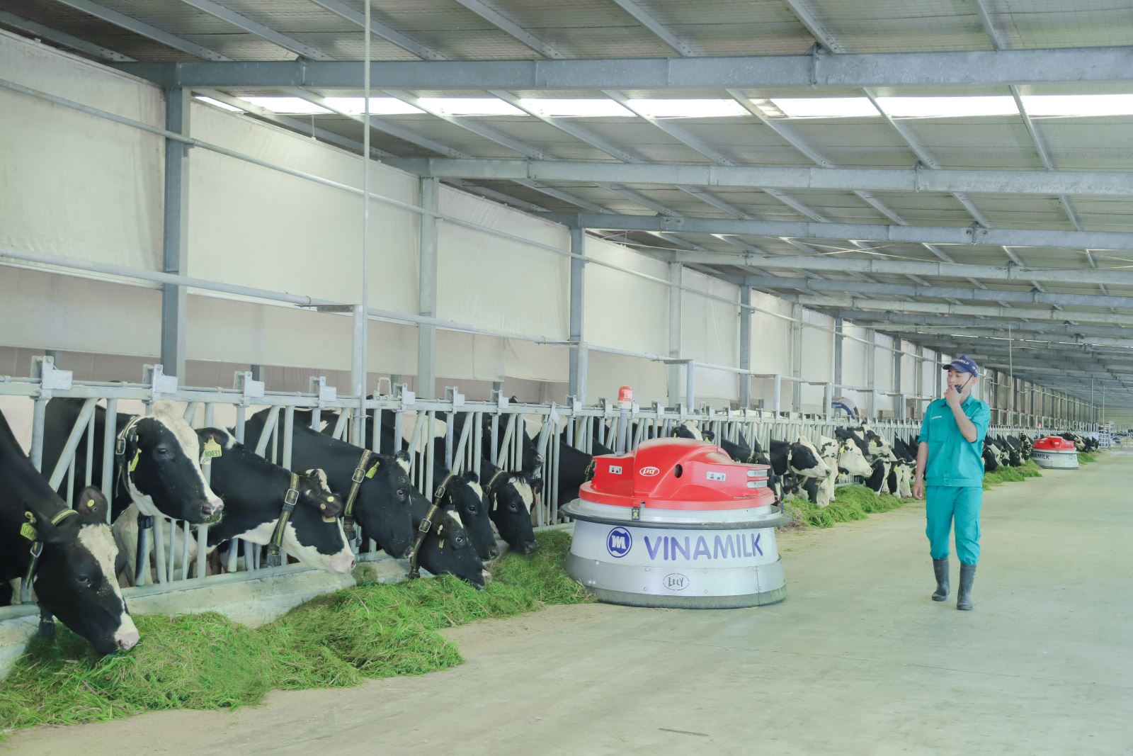 Vinamilk hiện có 13 trang trại bò sữa chuẩn quốc tế trên cả nước
