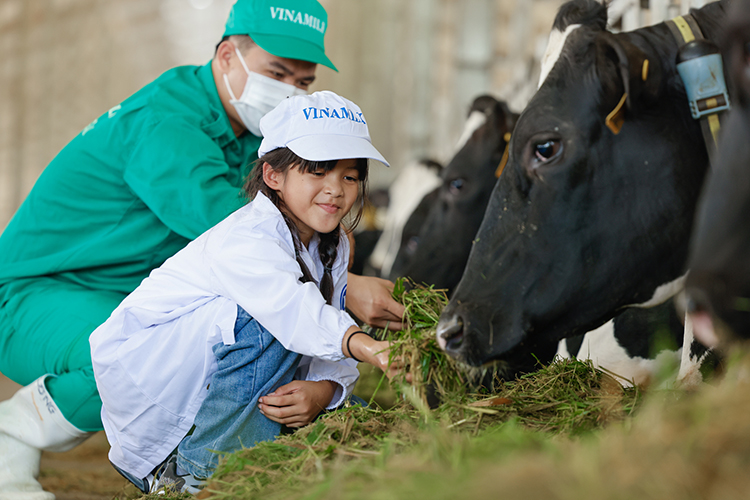 Các em thiếu nhi tại Trung tâm bảo trợ Quảng Ngãi đến thăm trang trại Vinamilk Green Farm Quảng Ngãi, một hoạt động trong chương trình Quỹ sữa 2022