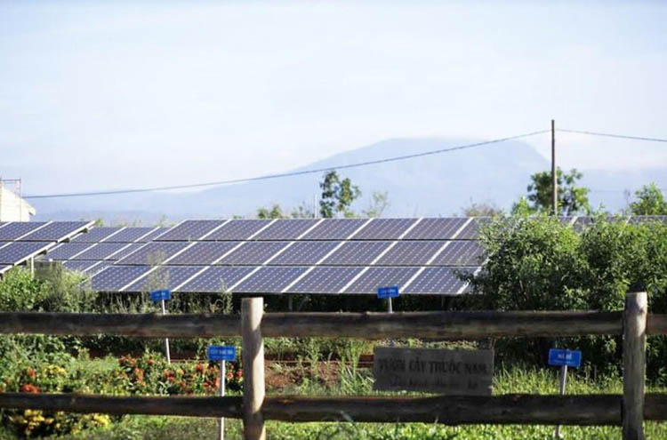 Hệ thống pin năng lượng mặt trời tại trang trại Vinamilk.