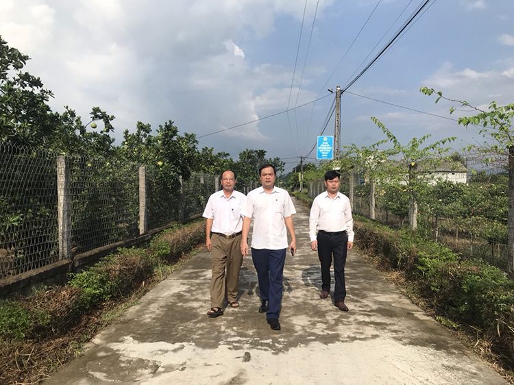 Ông Nguyễn Văn Hưng (đứng giữa) cùng cán bộ thôn Tiên Trường 2 bước trên đường bê tông rộng thênh thang, bên cạnh là vườn bưởi Diễn của người dân.