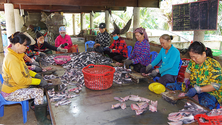 Nghề làm cá khô giúp giải quyết việc làm cho phụ nữ địa phương.