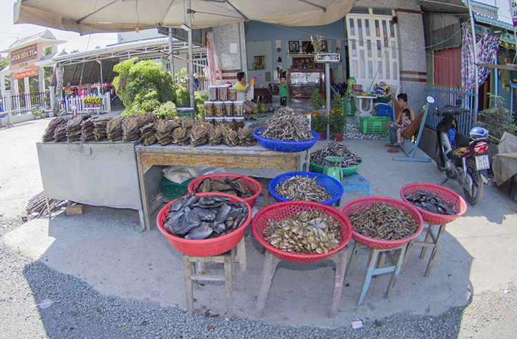 Hai bên đường có nhiều gian hàng nhỏ bày bán nhiều loại khô cá khác nhau.