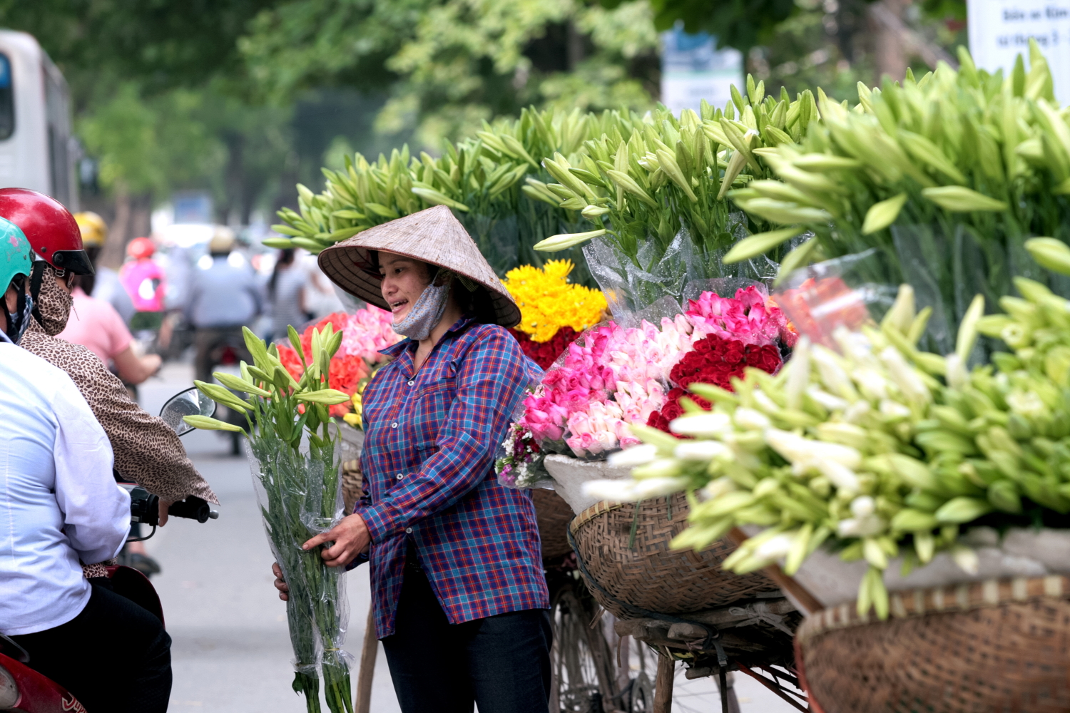 Bạn có thể tìm mua hoa loa kèn trên các xe đạp bán hoa ở những con đường như Yên Phụ, Thụy Khuê, Phan Đình Phùng, Giảng Võ...