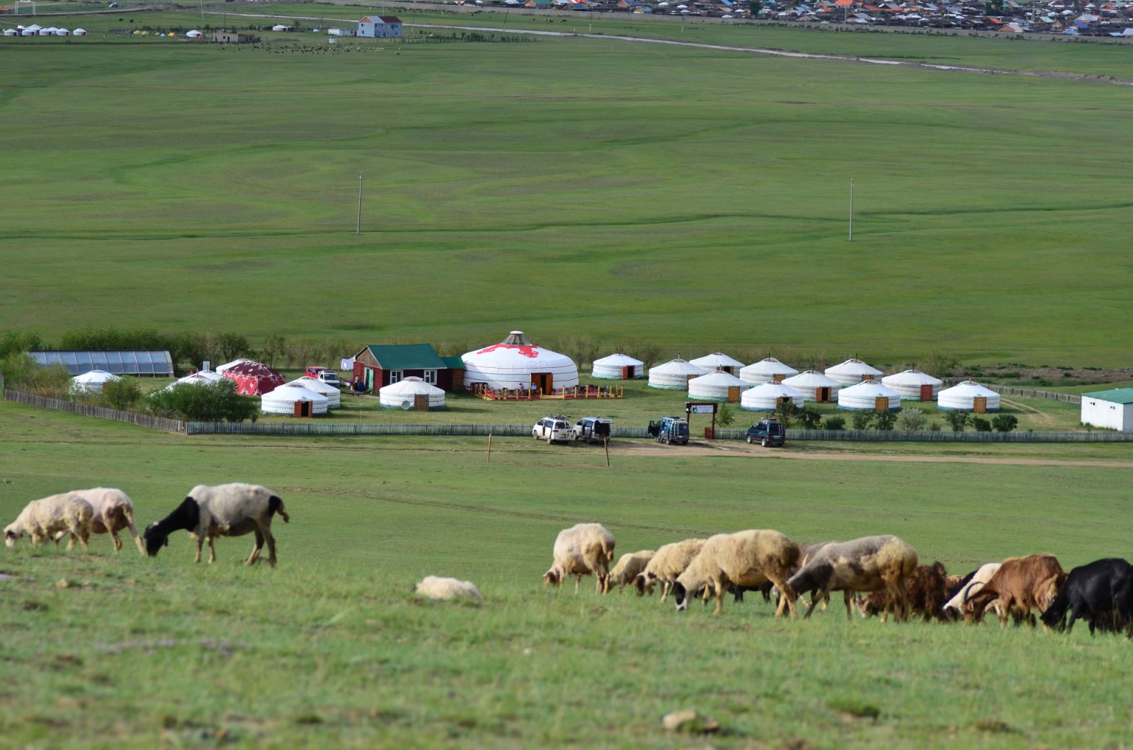 Người dân du mục trên sa mạc Gobi thường di cư theo mùa. Ger, ngôi nhà truyền thống của họ là những túp lều tròn.