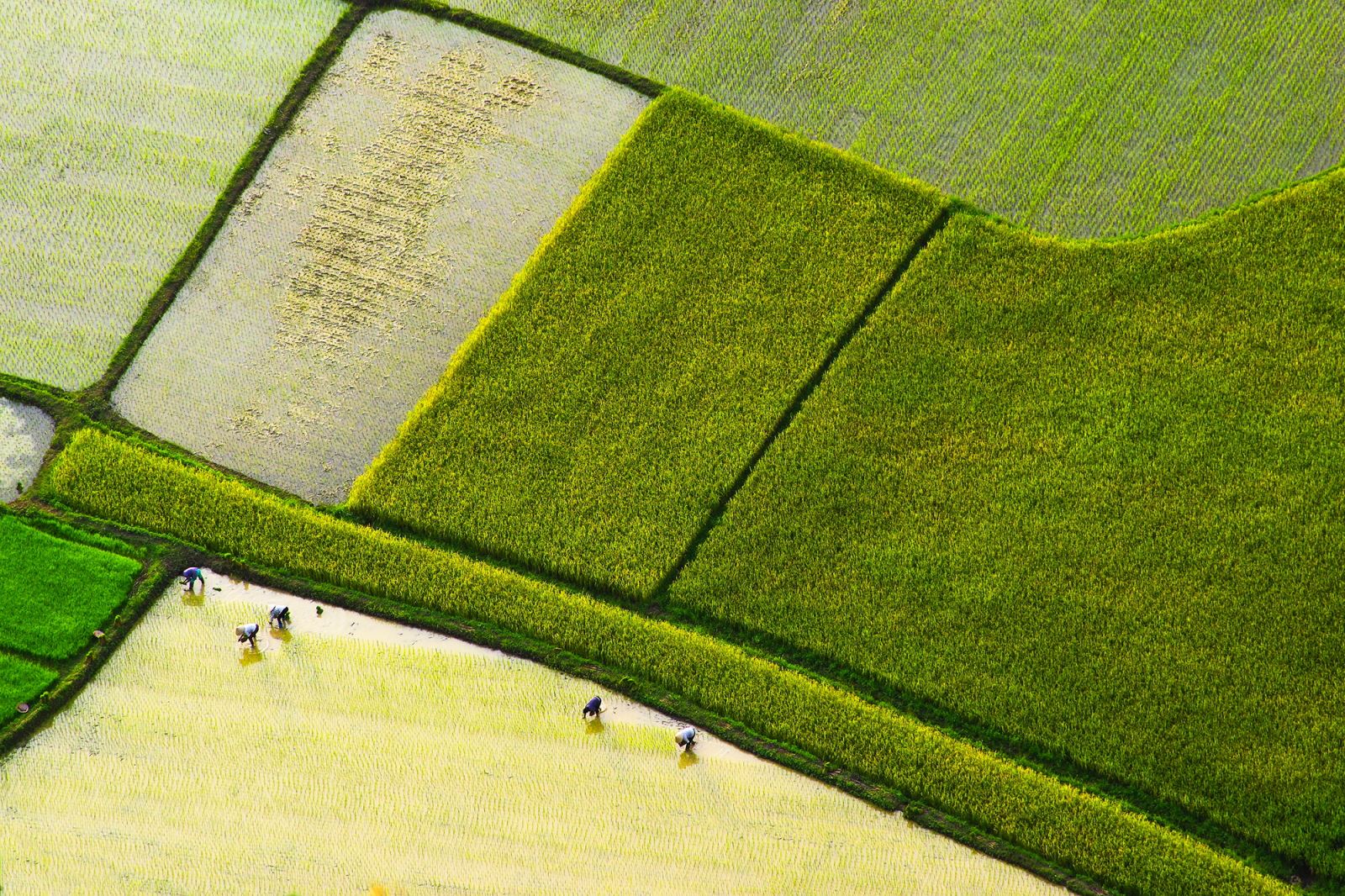 Đất đai Bắc Sơn màu mỡ, người dân chủ yếu làm nông, đặc biệt là trồng lúa nước với hai vụ chính mỗi năm.