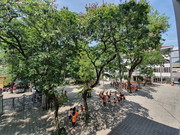 Học sinh Trường Tiểu học Tây Sơn học tập, sinh hoạt trên sân trường rợp bóng cây xanh.