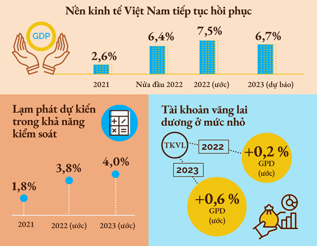 Dự báo tăng trưởng kinh tế Việt Nam của World Bank (đồ họa của Vietnam Plus) 