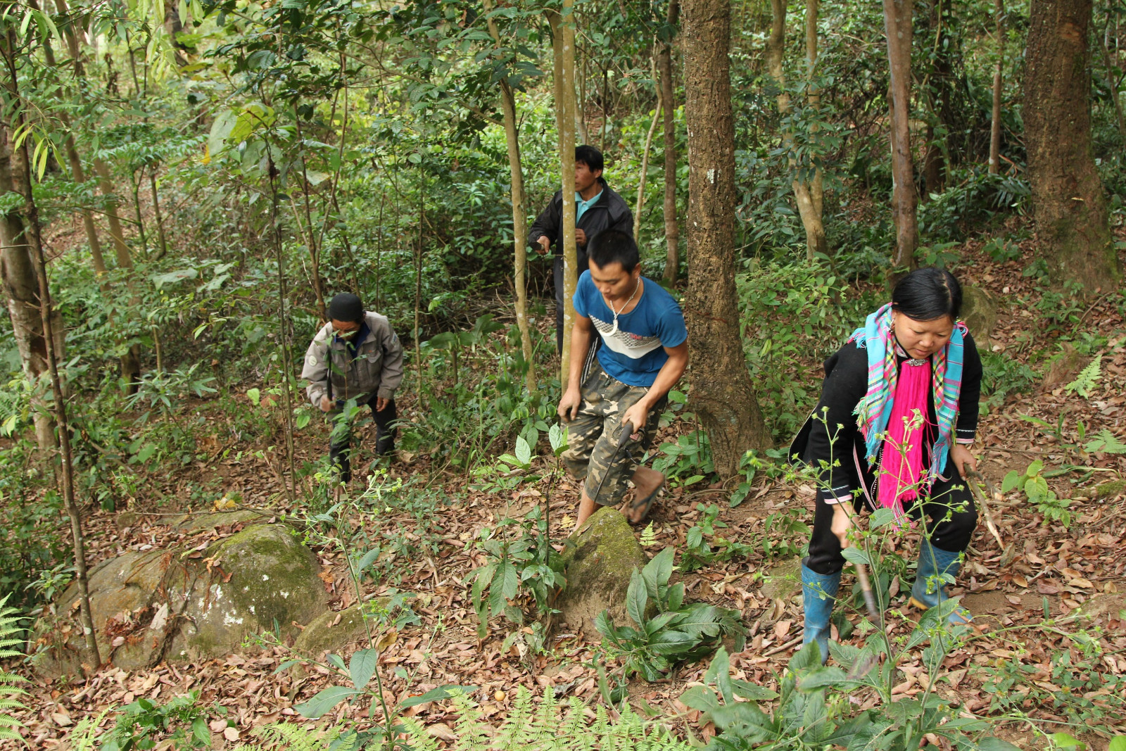 Cần phát huy chính sách khuyến khích người dân tham gia bảo vệ rừng