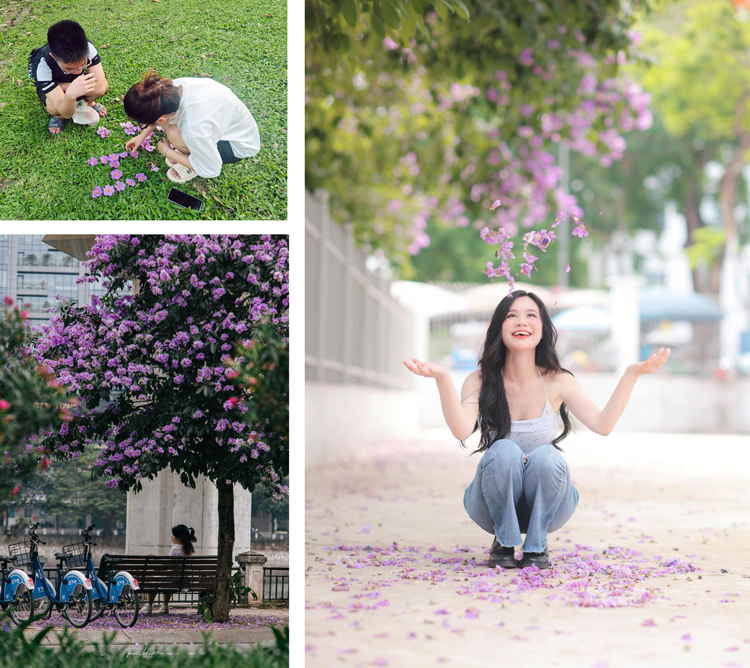 Cảm giác thật thoải mái, lãng mãn và tràn đầy sức sống mỗi độ mùa hoa bằng lăng về, mùa gắn liền với bao ký ức tuổi học trò.