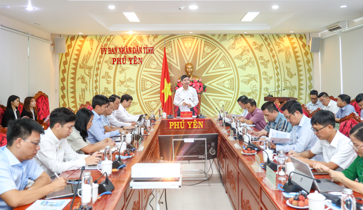 Ông Tạ Anh Tuấn, Phó Bí thư Tỉnh uỷ, Chủ tịch UBND tỉnh Phú Yên phát biểu tại buổi làm việc.