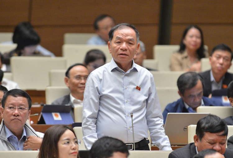 Đại biểu Lê Thanh Vân (Đoàn Cà Mau). Ảnh: Quốc hội