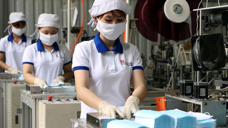 Việt Nam có đủ năng lực để trở thành một quốc gia sản xuất khẩu trang vải lớn trên thế giới. Ảnh minh họa: Moit