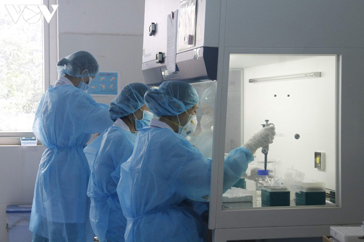 Các nhân viên xét nghiệm của Viện vệ sinh dịch tễ Tây Nguyên đang tiến hành chiết xuất RNA của virus SARS CoV2 từ các mẫu bệnh phẩm.