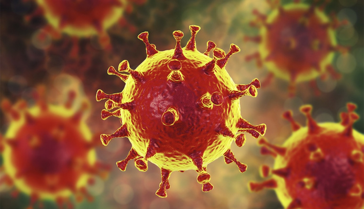 Virus corona có nhiều loại, có những loại cực kỳ nguy hiểm như SARS-CoV-2, cũng có những corona gây cảm lạnh thông thường. (Ảnh minh họa: Internet)