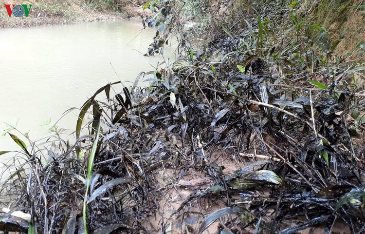 Vết dầu thải được phát hiện tại khu vực đầu nguồn sông Hiếu.