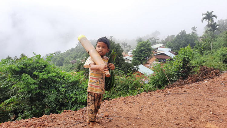 Em bé 8 tuổi, dân tộc Ca Dong vùng cao huyện Nam Trà My hái măng rừng ủng hộ người miền xuôi đã chạm đến trái tim nhiều người.