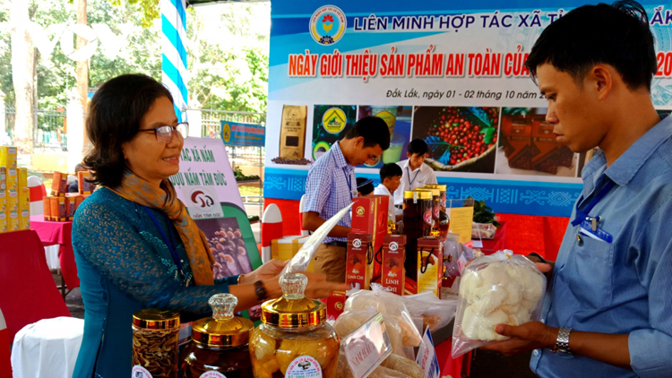 Bà Đinh Thị Danh, HTX nấm linh chi và DVNN Krông Ana đang giới thiệu sản phẩm của HTX.